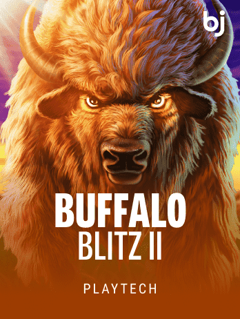 Buffalo Blitz II game cover