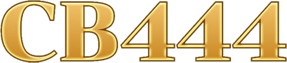bdcb444.net Logo